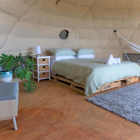 Hotel 1 Waipu Off-Grid Eco Seaview Geodesic Glamping Dome Exterior foto