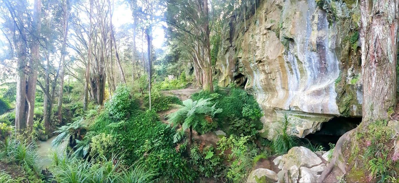 Hotel 1 Waipu Off-Grid Eco Seaview Geodesic Glamping Dome Exterior foto